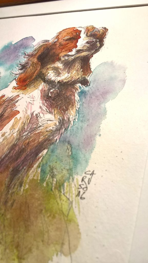 portrait-aquarelle-illustration-chien-simon-caruso (2)