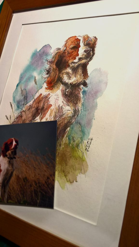 portrait-aquarelle-illustration-chien-simon-caruso (3)